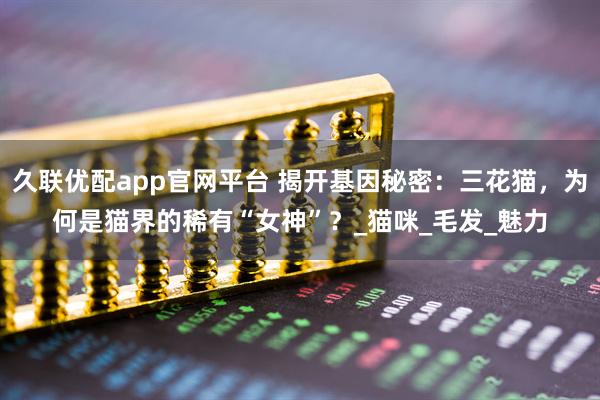 久联优配app官网平台 揭开基因秘密：三花猫，为何是猫界的稀有“女神”？_猫咪_毛发_魅力
