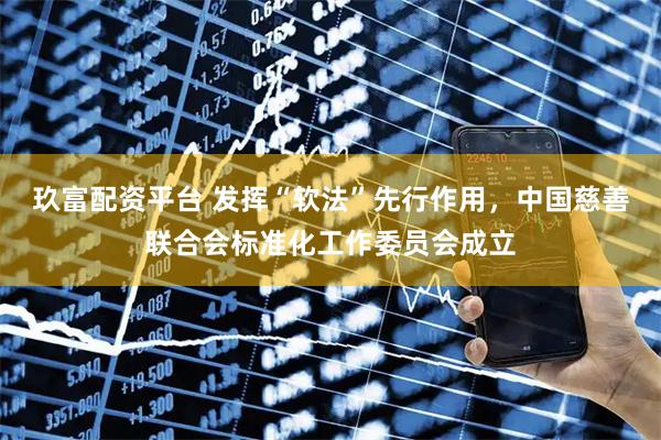 玖富配资平台 发挥“软法”先行作用，中国慈善联合会标准化工作委员会成立